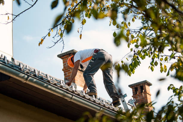 Best Gutter Installation and Roofing  in Ogden, KS