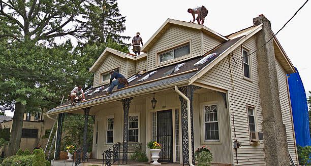 Best Roof Gutter Cleaning  in Ogden, KS